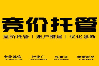成功案例分享：SEO与SEM优化助力企业腾飞